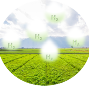 Integrating green hydrogen into agriculture